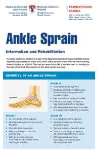 Ankle Sprain: Information and Rehabilitation