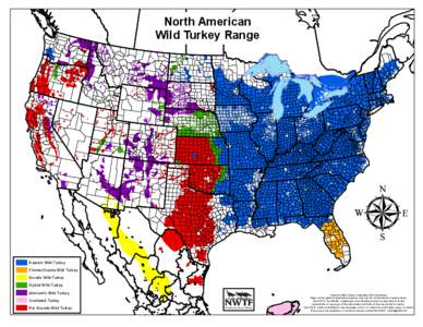 North American Wild Turkey Range Eastern Wild Turkey  Florida/Oceola Wild Turkey