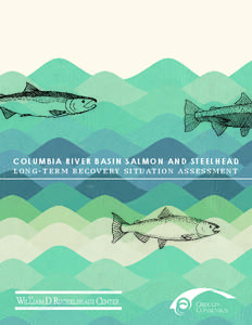 Salmonidae / Columbia River / Rainbow trout / William Ruckelshaus / Fish / Oily fish / Salmon