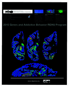 University of Michigan / Academia / Education / Association of Public and Land-Grant Universities / Graduate school / Genomics