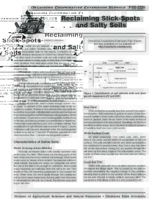 Oklahoma Cooperative Extension Service  PSS-2226 Reclaiming Slick-Spots and Salty Soils