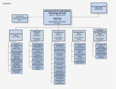 The Technical Support Director reports to theAssociate CIO for ITS. The next 9 Branch Chiefs listed report to the Technical Support Director[removed]The Governance Services Director reports to the Associate CIO for IT