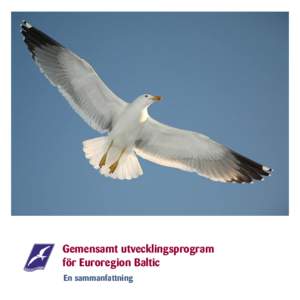 svensk Seagull populär.indd