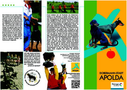 Flyer Dobermann_1mm B.fh9