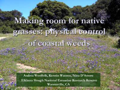 Making room for native grasses: physical control of coastal weeds Andrea Woolfolk, Kerstin Wasson, Nina D’Amore Elkhorn Slough National Estuarine Research Reserve