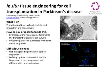 In situ tissue engineering for cell transplantation in Parkinson’s disease Presented by: Ioanna Sandvig, James Fawcett ,   What is it?