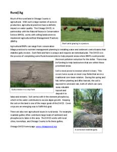 Rural/Ag Much of the rural land in Chisago County is agricultural. With such a large number of acres in production, agricultural practices have a definite impact on water quality. The Chisago SWCD, in partnership with th