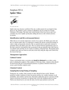 High Plains IPM Guide, a cooperative effort of the University of Wyoming, University of Nebraska, Colorado State University and Montana State University. Sorghum XV-6 Spider Mites John B. Campbell