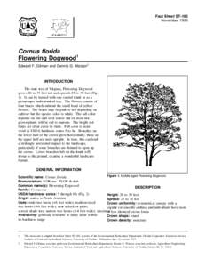 Fact Sheet ST-185 November 1993 Cornus florida Flowering Dogwood1 Edward F. Gilman and Dennis G. Watson2