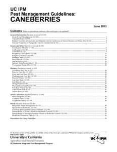 Phyla / Agricultural pest insects / Hemiptera / Berries / Rubus / Whitefly / Blackberry / Redberry mite / Integrated pest management / Agriculture / Biological pest control / Land management