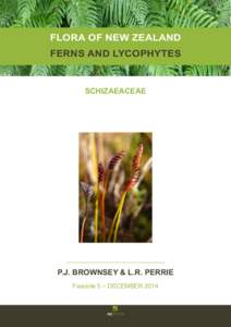 FLORA OF NEW ZEALAND FERNS AND LYCOPHYTES SCHIZAEACEAE  P.J. BROWNSEY & L.R. PERRIE