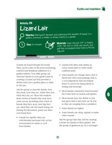 Reptiles and Amphibians  Activity 29: Lizard Lair ts of lizards in a