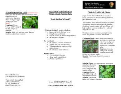 Flora of North America / Mexican cuisine / Native American cuisine / Opuntia / Rash / Euphorbia tirucalli / Irritation / Swelling / Infection / Medicine / Biology / Health