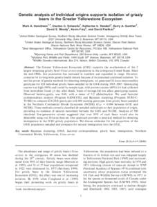 Genetic analysis of individual origins supports isolation of grizzly bears in the Greater Yellowstone Ecosystem Mark A. Haroldson1,7, Charles C. Schwartz1, Katherine C. Kendall2, Kerry A. Gunther3, David S. Moody4, Kevin