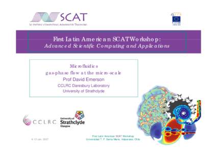 First Latin American SCAT Workshop:  Advanced Scientific Computing and Applications Microfluidics gas-phase flow at the micro-scale