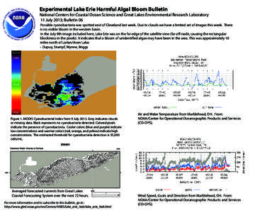 Experimental Lake Erie Harmful Algal Bloom Bulletin  National Centers for Coastal Ocean Science and Great Lakes Environmental Research Laboratory 11 July 2013; Bulletin 06  Absent