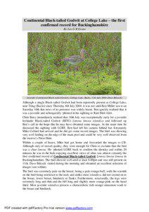 Black-tailed Godwit / Ornithology / Fauna of Europe / Godwit / Physical geography / Estuary / Limosa / Shorebirds / Birds of Western Australia
