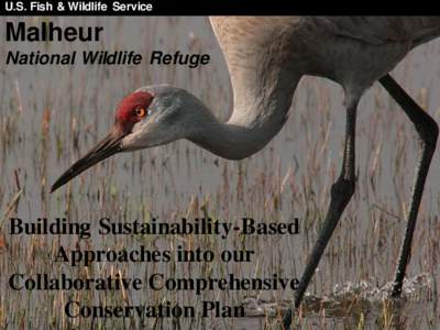 U.S. Fish & Wildlife Service  Malheur National Wildlife Refuge  Building Sustainability-Based