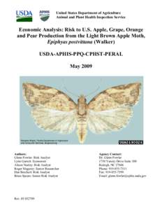 United States Department of Agriculture Animal and Plant Health Inspection Service Economic Analysis: Risk to U.S. Apple, Grape, Orange and Pear Production from the Light Brown Apple Moth, Epiphyas postvittana (Walker)