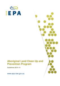 Aboriginal Land Clean Up and Prevention Program: Guidelines