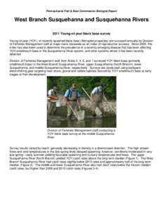 Pennsylvania Fish & Boat Commission Biologist Report  West Branch Susquehanna and Susquehanna Rivers 2011 Young-of-year black bass survey Young-of-year (YOY), or recently spawned black bass (Micropterus species) are surv