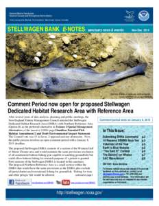 STELLWAGEN BANK E-NOTES: sanctuary news & events  Nov-Dec 2014 Haddock shelters in sanctuary seafloor habitat . Credit: NURTEC-UConn and SBNMS