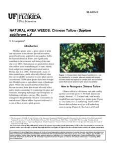 Tallow / Food and drink / Herbicide / Biology / Agriculture / Evan Siemann / Stillingia oil / Invasive plant species / Sapium / Triadica sebifera