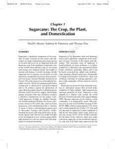 Biology / Food and drink / Botany / Ethanol fuel / Sugarcane / S. edule / Miscanthus sinensis / Saccharum spontaneum / Andropogoneae / Sugar / Sweeteners / Poaceae