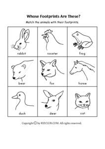 Whose Footprints Are These? Match the animals with their footprints. rabbit  rooster