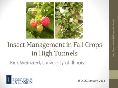 Rick Weinzierl, University of Illinois  ISCAOC, January, 2014 Insect Management in Fall Crops in High Tunnels