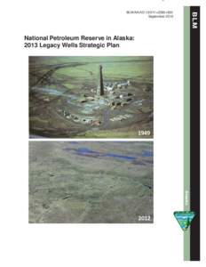 2013 National Petroleum Reserve in Alaska Legacy Well Strategic Plan