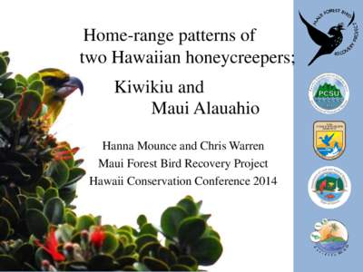 Home-range patterns of two Hawaiian honeycreepers; Kiwikiu and Maui Alauahio Hanna Mounce and Chris Warren