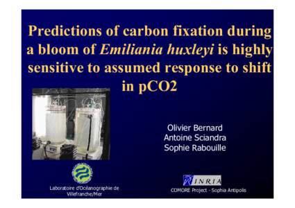 Predictions of carbon fixation during a bloom of Emiliania huxleyi is highly sensitive to assumed response to shift in pCO2 Olivier Bernard Antoine Sciandra