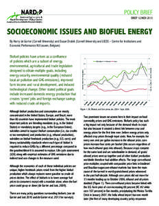 POLICY BRIEF BRIEF 12/NOV 2013 SOCIOECONOMIC ISSUES AND BIOFUEL ENERGY By Harry de Gorter (Cornell University) and Dusan Drabik (Cornell University and LICOS – Centre for Institutions and Economic Performance KU Leuven