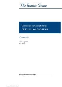 Comments on Consultations CER[removed]and CAG[removed]10th August 2011 Carlos Lapuerta Dan Harris