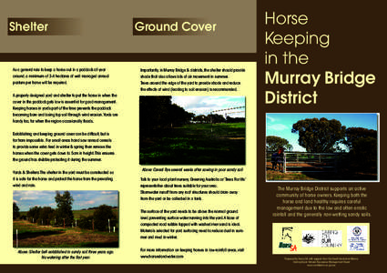 Shelter  Ground Cover As a general rule to keep a horse out in a paddock all year