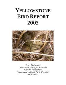 YELLOWSTONE BIRD REPORT 2005
