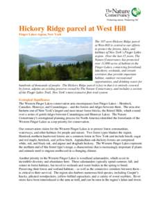 Hickory Ridge parcel at West Hill Finger Lakes region, New York The 107-acre Hickory Ridge parcel at West Hill is central to our efforts to protect the forests, lakes, and habitats of New York’s Finger Lakes