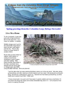 E-News from the Colum bia River Gorge Refuges: Steigerw al d Lake, Franz Lake, an d Pier ce National W il dl ife Refuges M arch[removed]Spring greetings from the Columbia Gorge Refuge Stewards! Give Me a Home