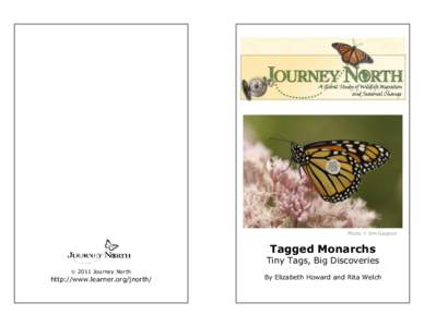 Photo  Jim Gagnon  Tagged Monarchs Tiny Tags, Big Discoveries  2011 Journey North