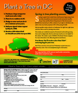 Plant a Tree in DC  Earn a $50 rebate