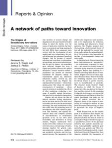 A network of paths toward innovation