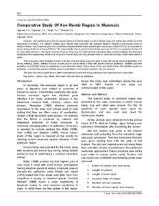 Medicine / Anal canal / Anal sinuses / Anal valves / Anal columns / Stratified squamous epithelium / Epithelium / Human gastrointestinal tract / Columnar / Digestive system / Biology / Anatomy