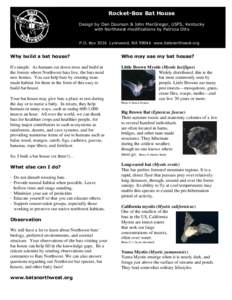 Bat / Little brown bat / Yuma Myotis / Long-eared Myotis / Nest box / Vesper bat / Mouse-eared bats / Biology / Zoology