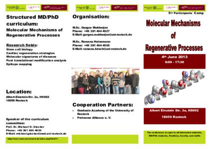 Structured MD/PhD curriculum: Organisation:  Molecular Mechanisms of