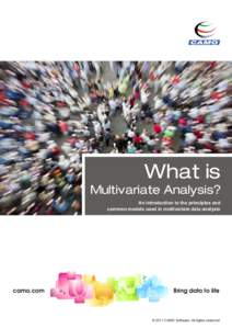 What is Multivariate analysis