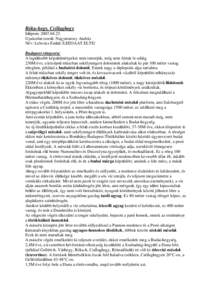 Róka-hegy, Csillaghegy Idıpont: [removed]Gyakorlatvezetı: Nagymarosy András Név: Lelovics Enikı /LEEOAAT.ELTE/ Budapest rétegsora: A legidısebb képzıdményeket nem ismerjük, még nem fúrtak le odáig.