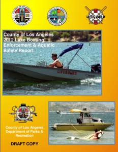 2009 Los Angeles County Lake Aquatic Safety Report