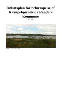 Indsatsplan for bekæmpelse af Kæmpebjørneklo i Randers KommuneHornbæk Enge sommer 2012