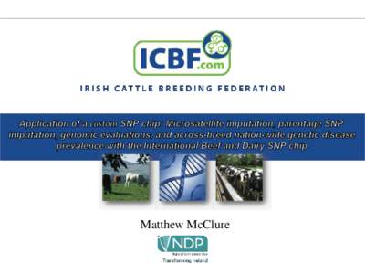 Matthew McClure  IDBv1 SNP chip (International Beef and Dairy) 17K chip, LD base